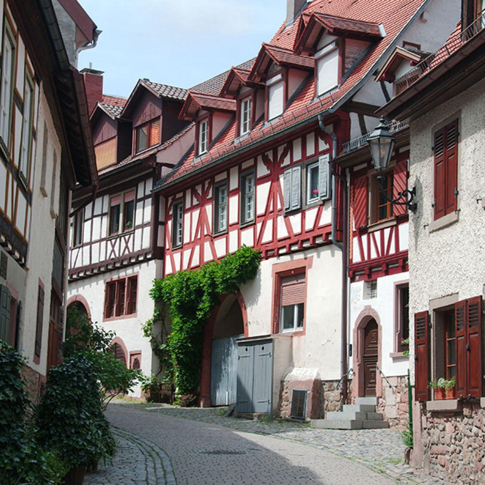 Altbau­sanierung bei Elektrotechnik Asche GmbH in Magdeburg